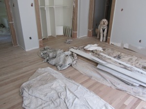 Flooring work also in progress.  Charlie doing ground level inspection.  Sanding scheduled to begin Tuesday.